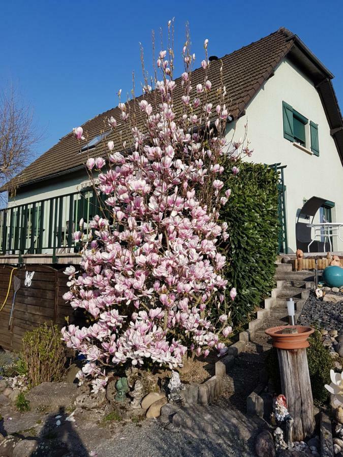 Le Nid Fleuri De Cravanche Exteriér fotografie